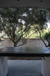 Moby Dick Super Panoramic