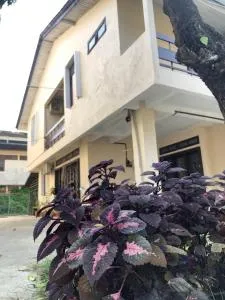 Little Cozy Homestay - Kampong Langgar