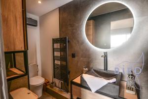 Large studio with swimming pool and open view