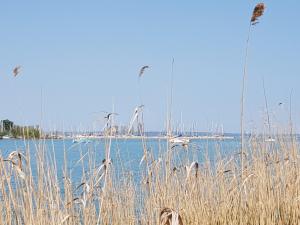 Coastline Balaton Apartment