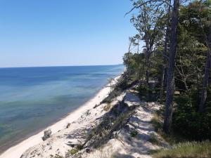 Ośrodek Szkoleniowo-Wypoczynkowy "Leśnik"