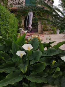 Hotels Auberge les Aromes : photos des chambres