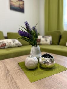 Апартамент "ИЛИЕВИ"