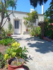 Maria's garden house - Archipolis