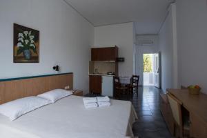 Budget studios 50m from the beach and Perissa center