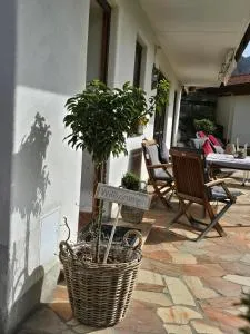 Lenas Bergoase - Maximilianshütte