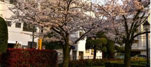 媛楽園 松山中心地及び道後温泉に近い家族やグループ旅行の多人数が泊まれる快適な宿