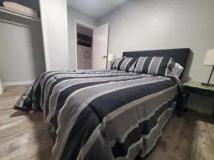 Modern Private 1BR Apt. w/Free Prkg + Fast Wi-Fi - سولت سانت ماري