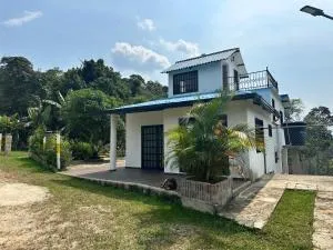 Palma real - La Gran Via