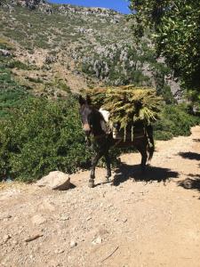 Guide montagne - Ubytování bez kategorie ve městě Tahannout