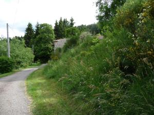 Charmant Gîte avec Terrasse, Cheminée et Jardin, à Proximité des Bois, Animaux Acceptés - FR-1-496-205