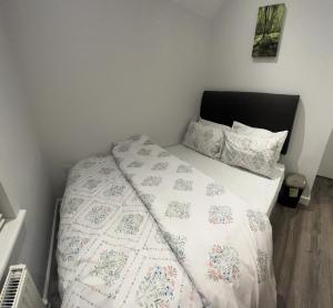 Spencer bridge by AFL