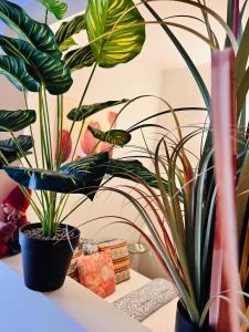 TallinnHousing Old Town Homes - 1 BDR Apartment in Vene