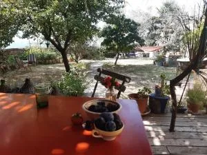 La maison de Frida - 福卡尔基耶