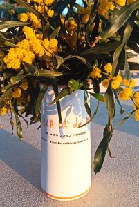 Villa Cà del Mar Loft