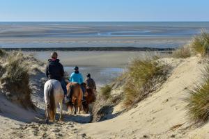 Appartements 5 min a pied de la plage - 2 pers - studio D : photos des chambres