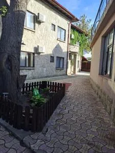 Casa Ancuta - 南埃福列