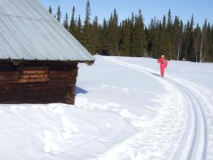Bydalsfjällen Östersund Åre Jämtland