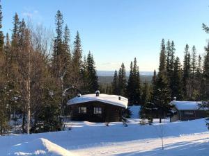 Bydalsfjällen Östersund Åre Jämtland