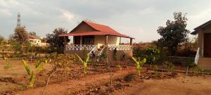 The Palash Vann Pench