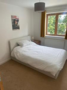 Super House with Large Pool!! 5 min from West Wittering