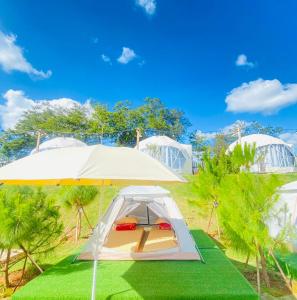 Lều (Tent)