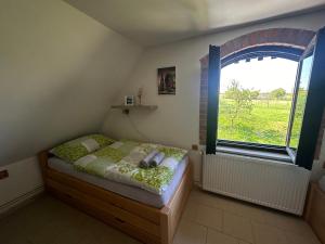 Vinný sklep v Zarazicích