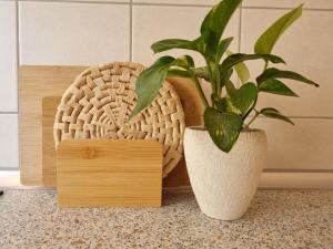 Apartmaji pri Ticelnu