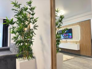 Luxury Glam Apartments Central Adress Bucuresti with Parking