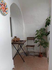 Casa Florinda #4