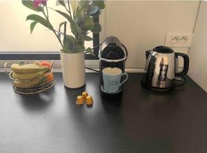 Appartements Tres belle maison lac d Enghien les bains 15 min Paris : photos des chambres