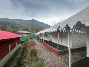 Nomadic soul camps Bir Biling ,Best camp in Bir , River side Camp