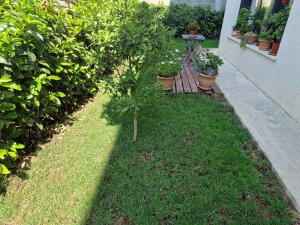 Villa Laci Apartment