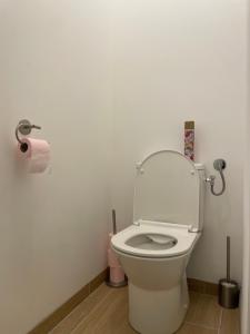 Sejours chez l'habitant Cosy studio, lit double : Chambre Double Deluxe