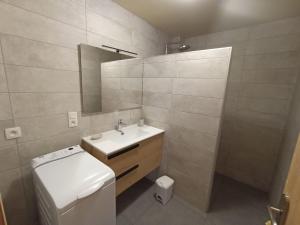 À louer: Appt 2 pièces, 5 pers, Châtel centre, proche télécabine, balcon, parking, animaux admis - FR-1-676-57