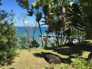 Ambia lodge - Analabe