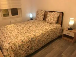 Chambre lit double, espaces partagés, 10km de Paris, 2 km du métro - 斯坦