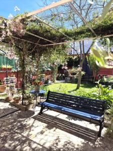 Appartements Maison Toulousaine avec jardin : photos des chambres