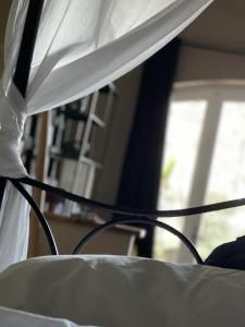 B&B / Chambres d'hotes Lou Paradou Lodge : photos des chambres
