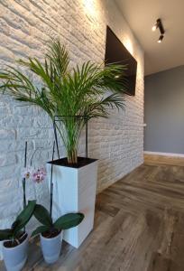 Cozy studio 10 minutes to Central Railway Station