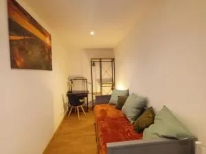 Paissible T1 proche de vulcania - Prondines