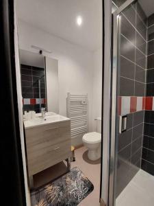 Paissible T1 proche de vulcania