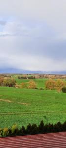 Ferienwohnung Seeblick