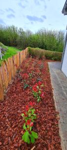 Maisons de vacances Le cottage sauvage : photos des chambres