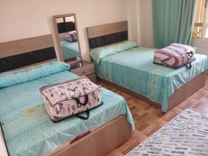 كمبوند سيتي تاورز مدينة نصر حي الواحه