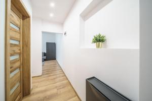 Apartament Śródmieście