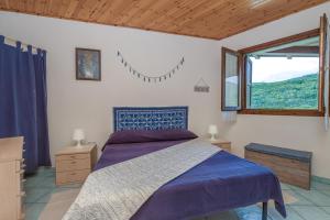 Blue&Green House With Shared Pool - Happy Rentals