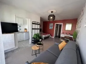 Les studios de Bron Pinel - Bron