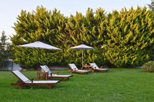 Villa John Dimeon Kato Achaia With Pool - Happy Rentals