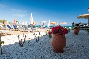 Kalamaki Beach Hotel, Zakynthos Island Zakynthos Greece